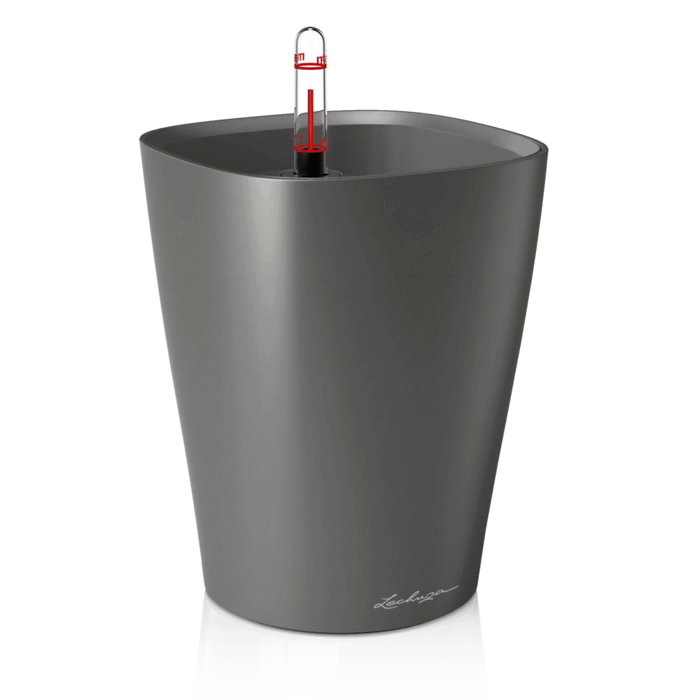DELTINI